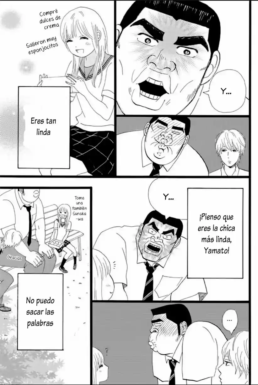 Ore Monogatari!! capítulo 13, página 15