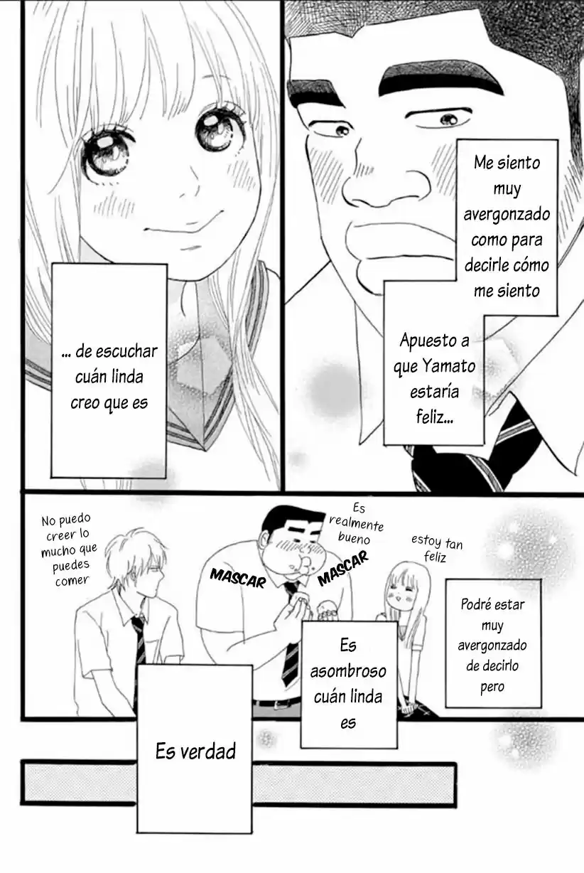 Ore Monogatari!! capítulo 13, página 16