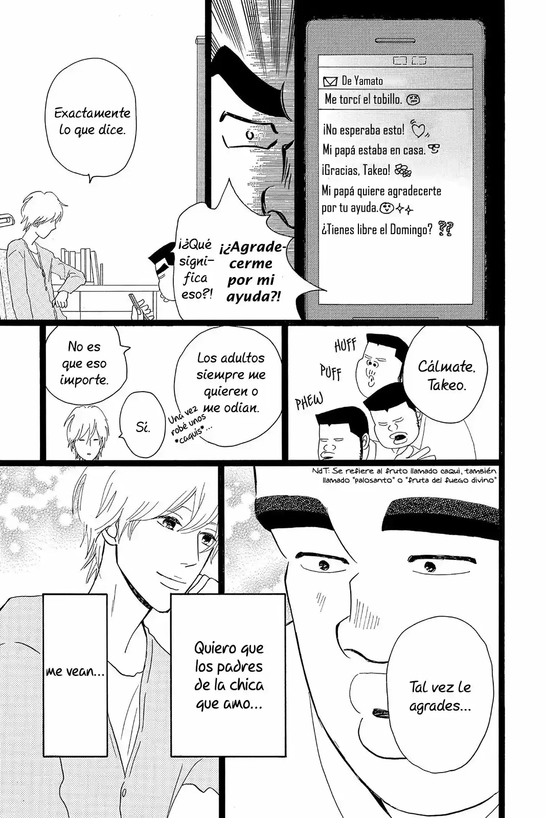 Ore Monogatari!! capítulo 27, página 17
