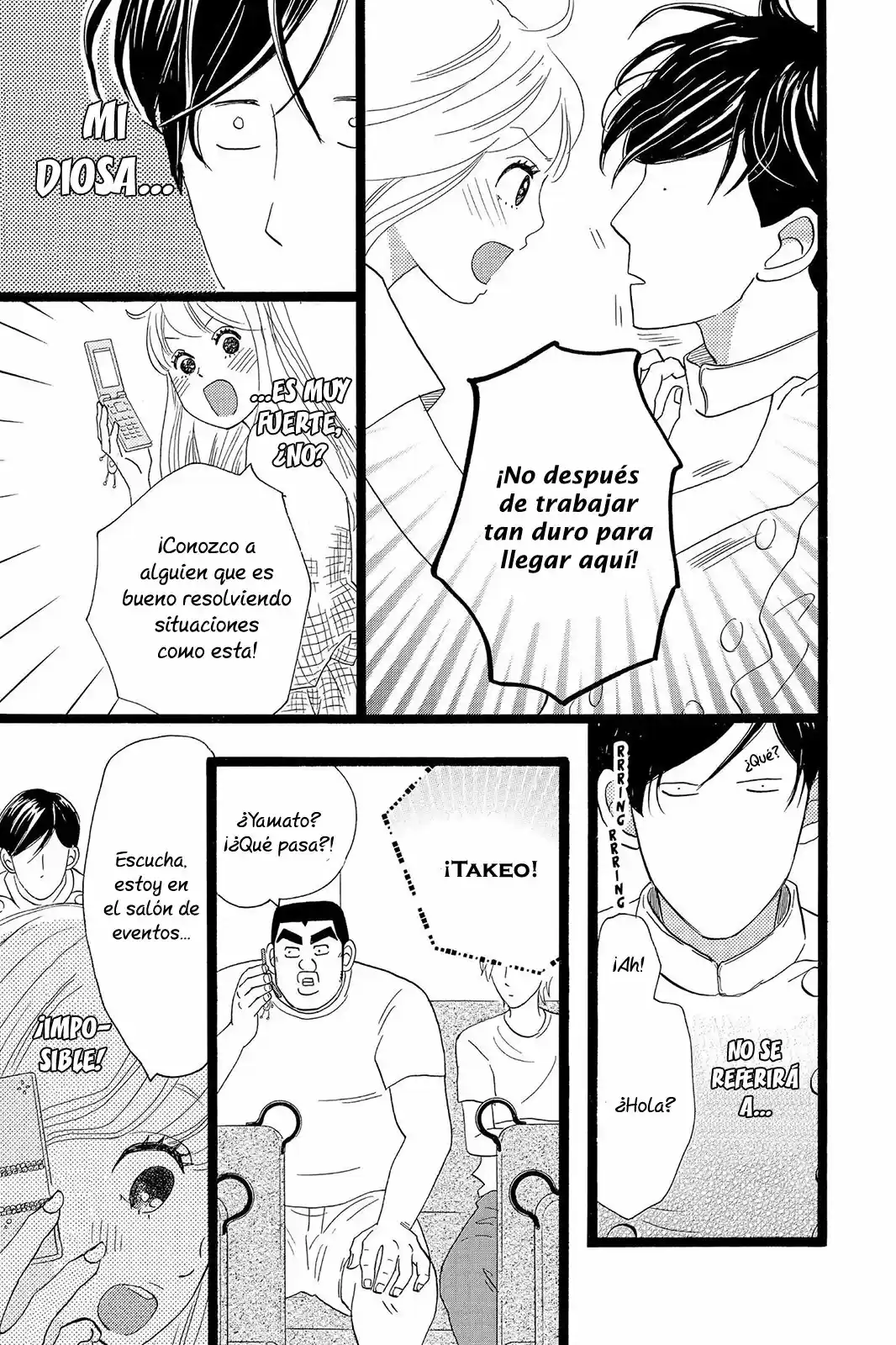 Ore Monogatari!! capítulo 34, página 14