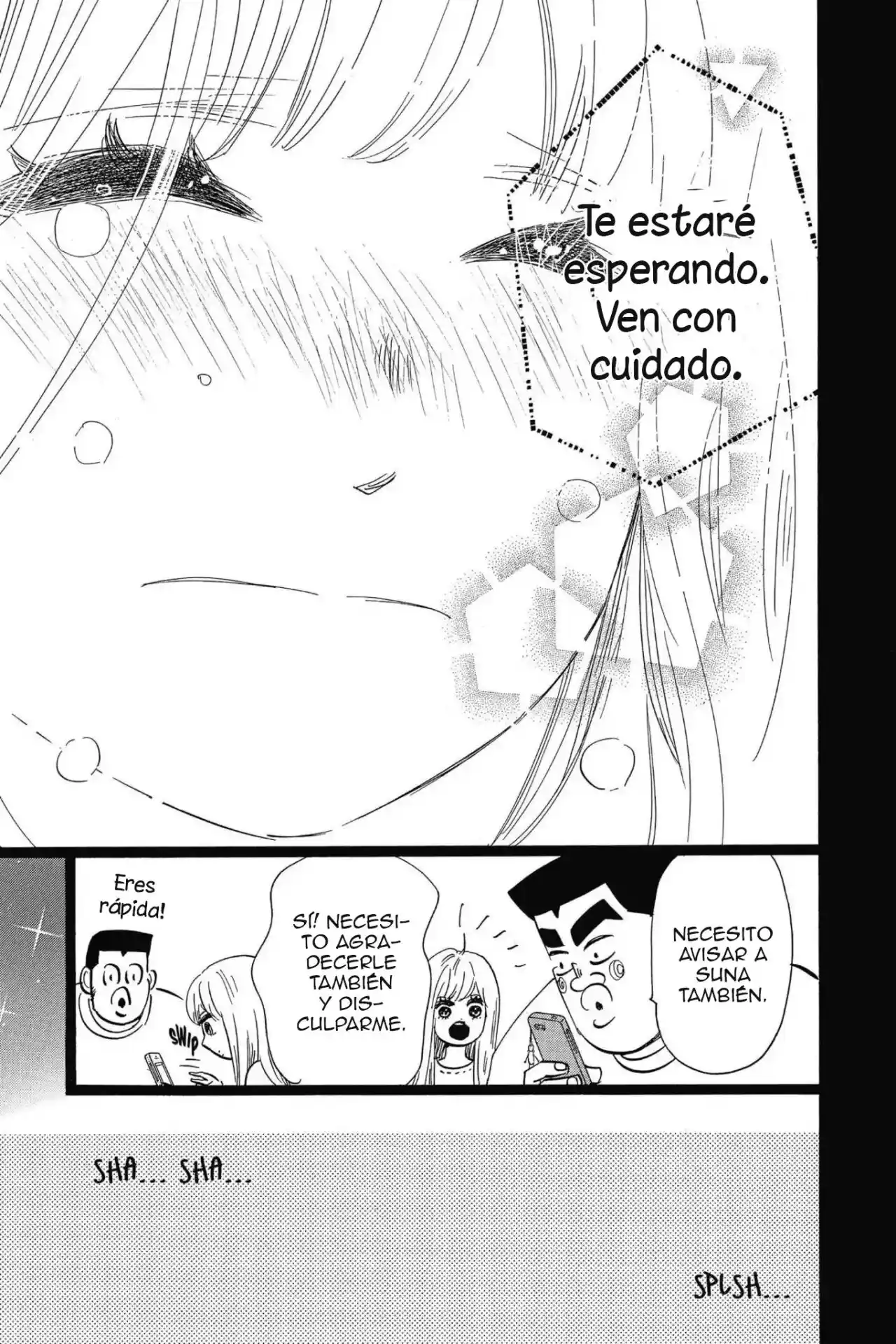 Ore Monogatari!! capítulo 46, página 24