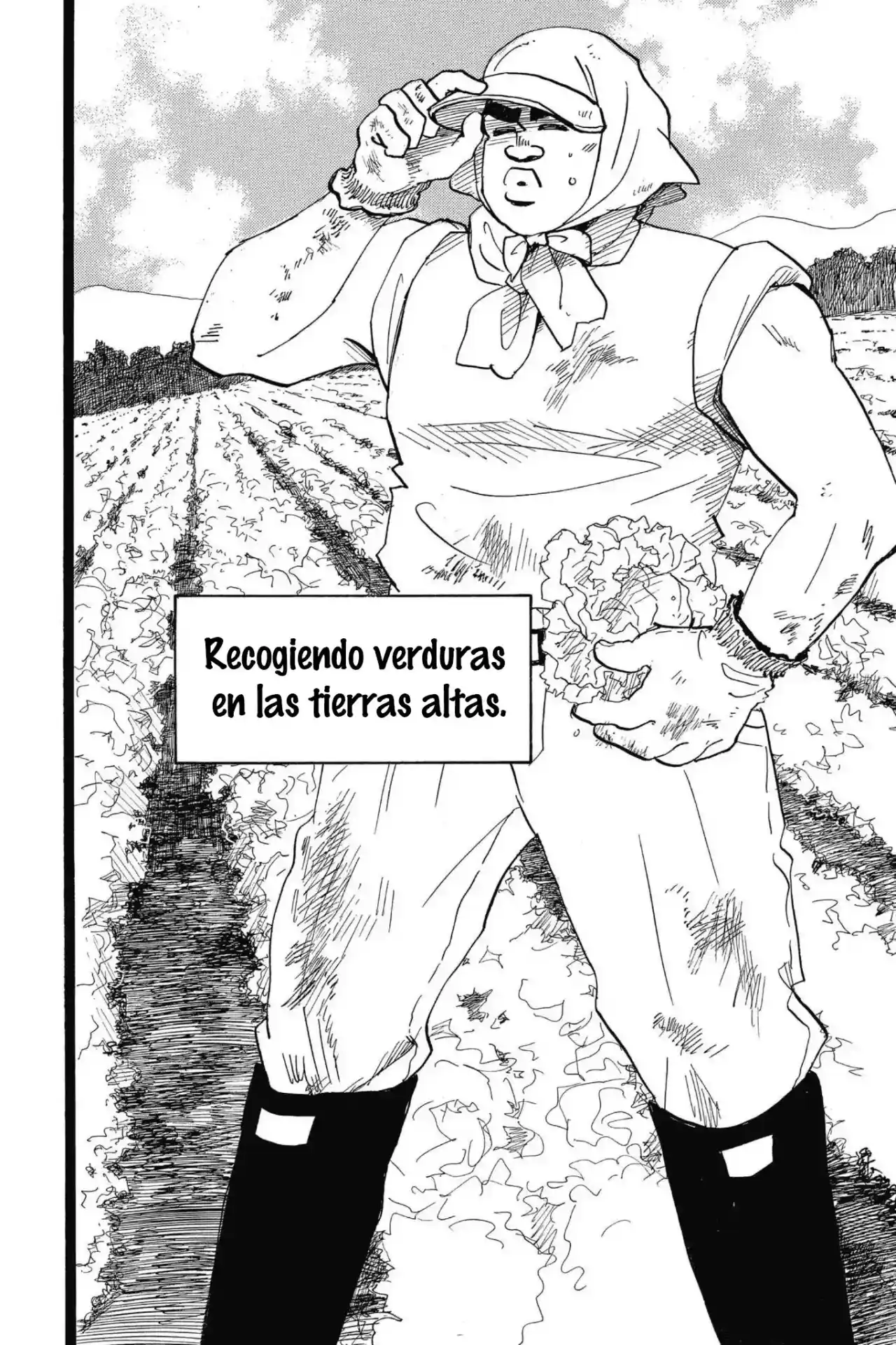 Ore Monogatari!! capítulo 47, página 4