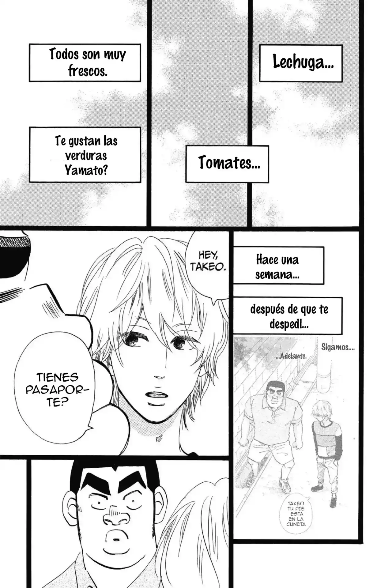 Ore Monogatari!! capítulo 47, página 5