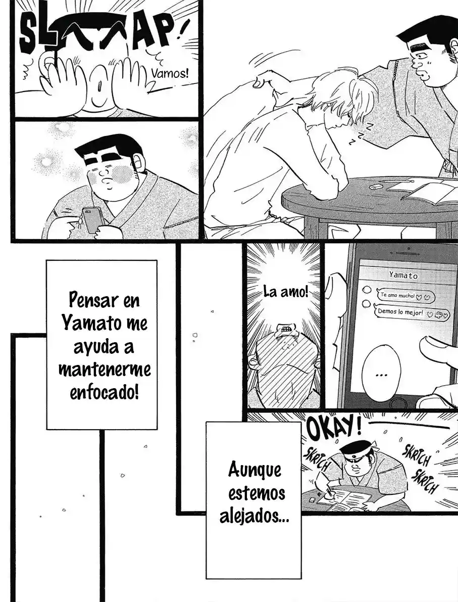 Ore Monogatari!! capítulo 48, página 13