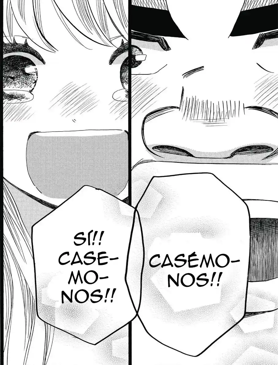 Ore Monogatari!! capítulo 49, página 41