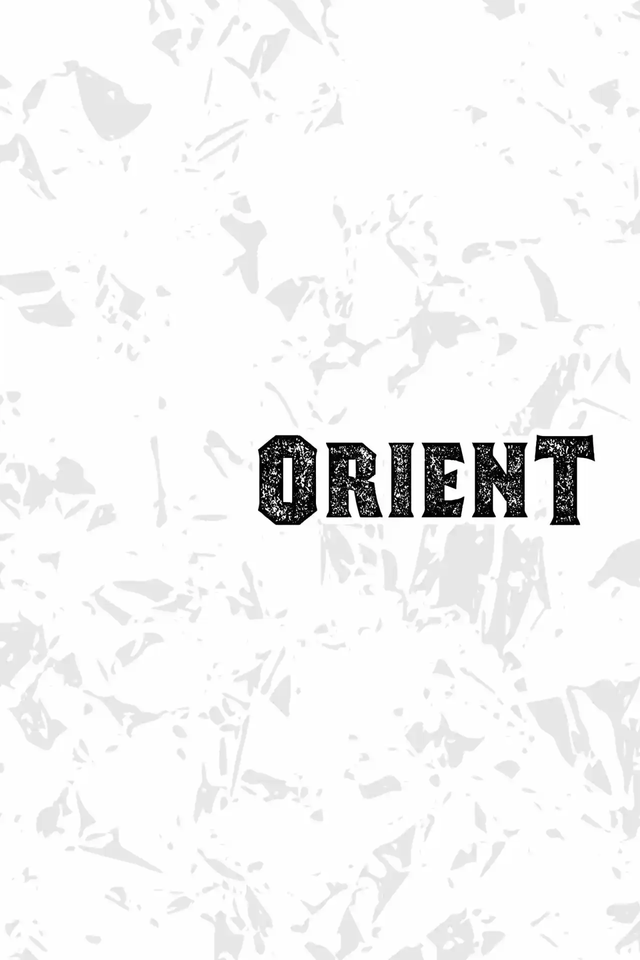 Orient capítulo 98, página 22