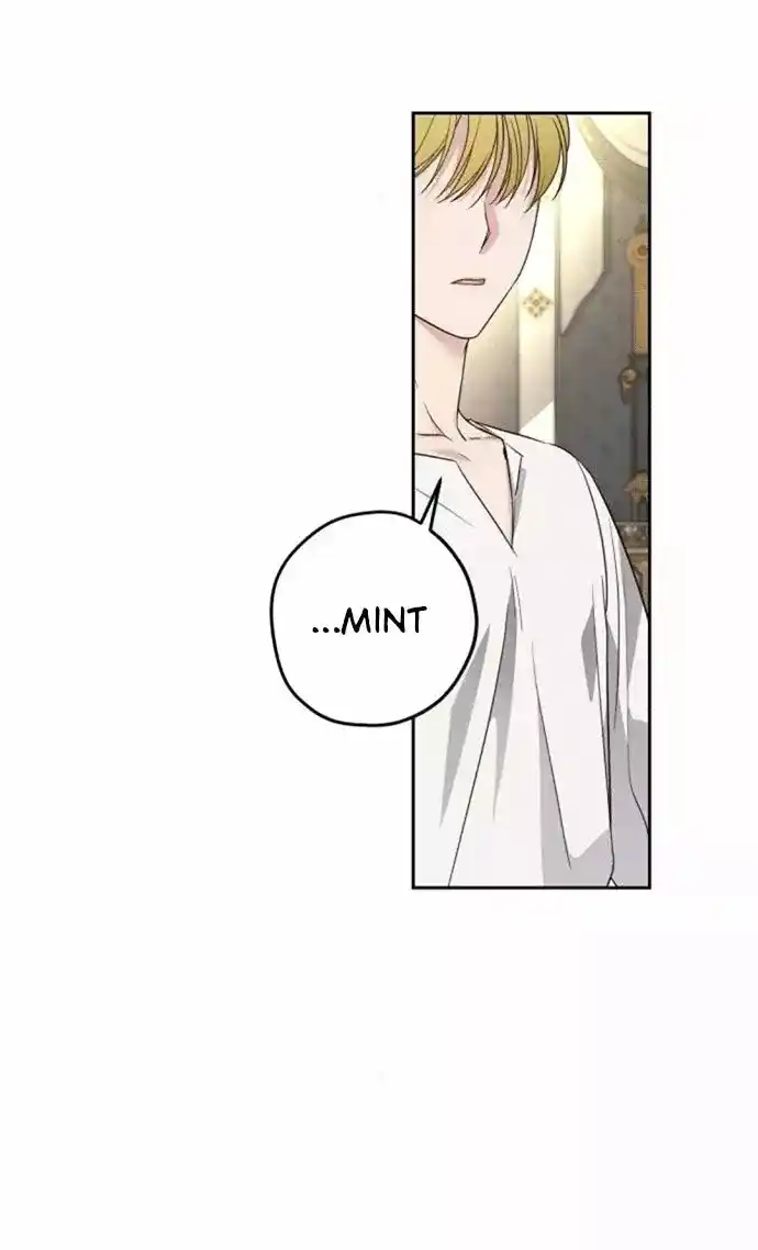 Pequeña Princesa Mint capítulo 31, página 19