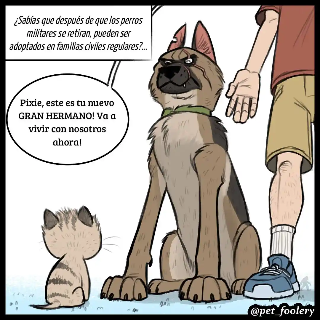 Pixie And Brutus capítulo 1, página 1