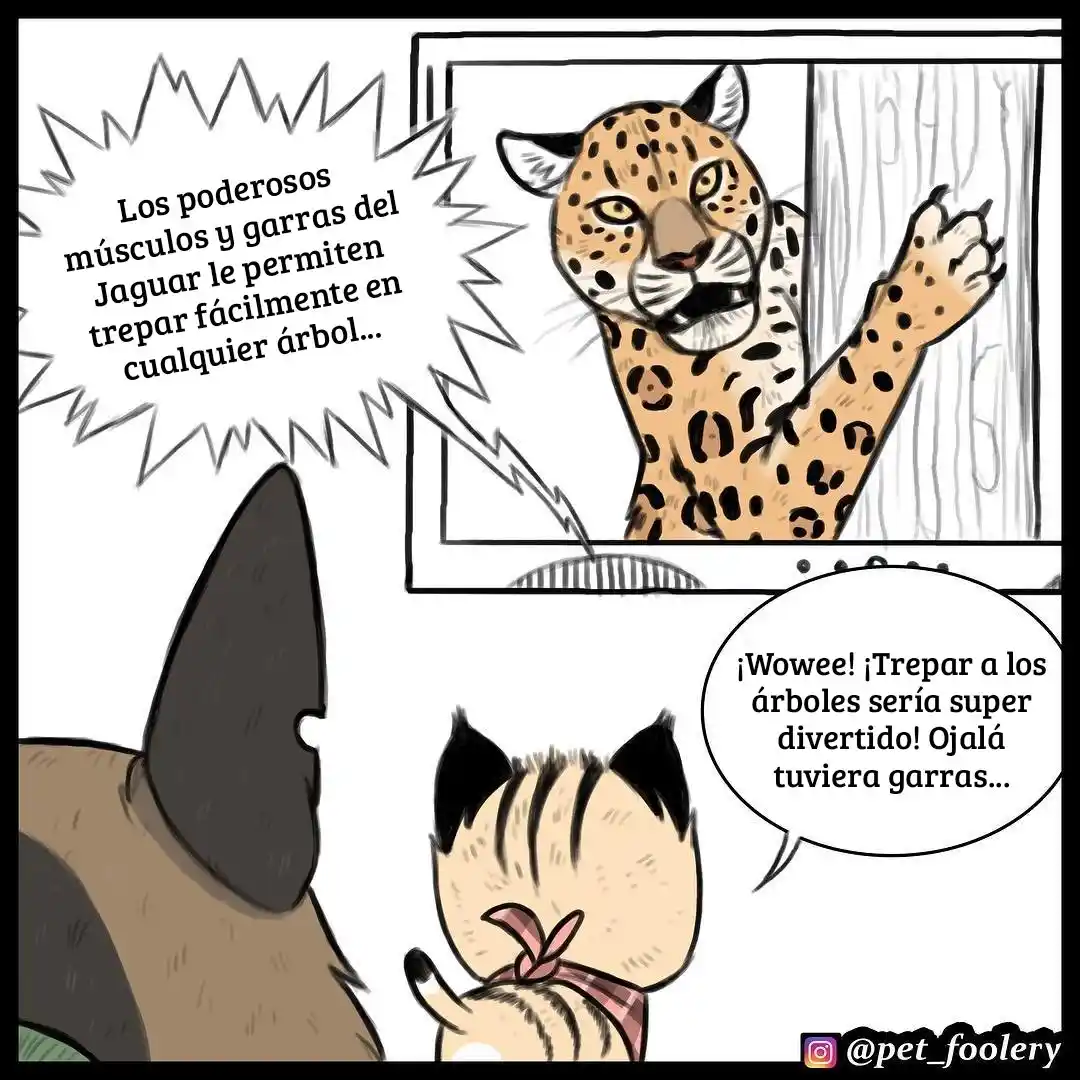 Pixie And Brutus capítulo 14, página 1