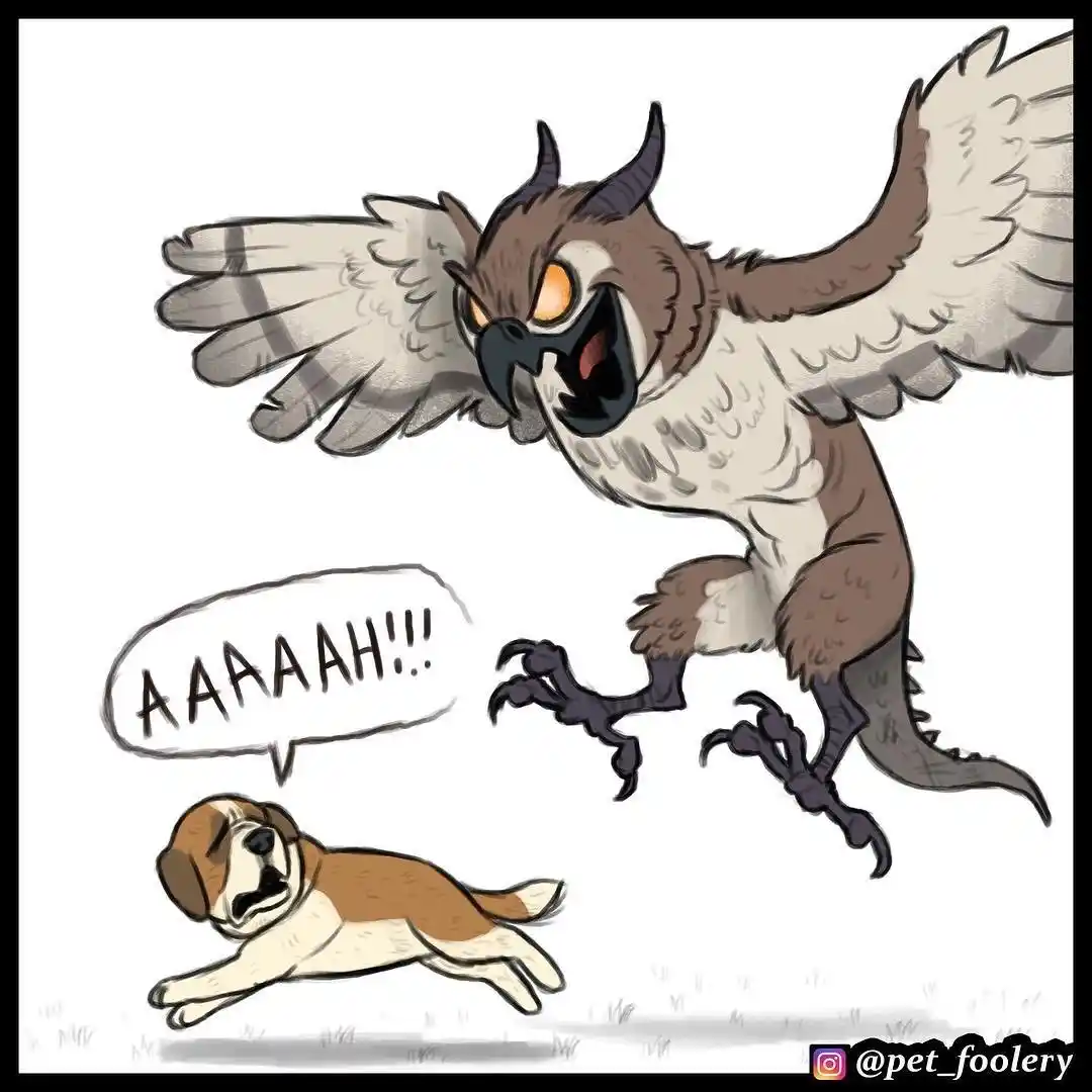 Pixie And Brutus capítulo 15, página 1