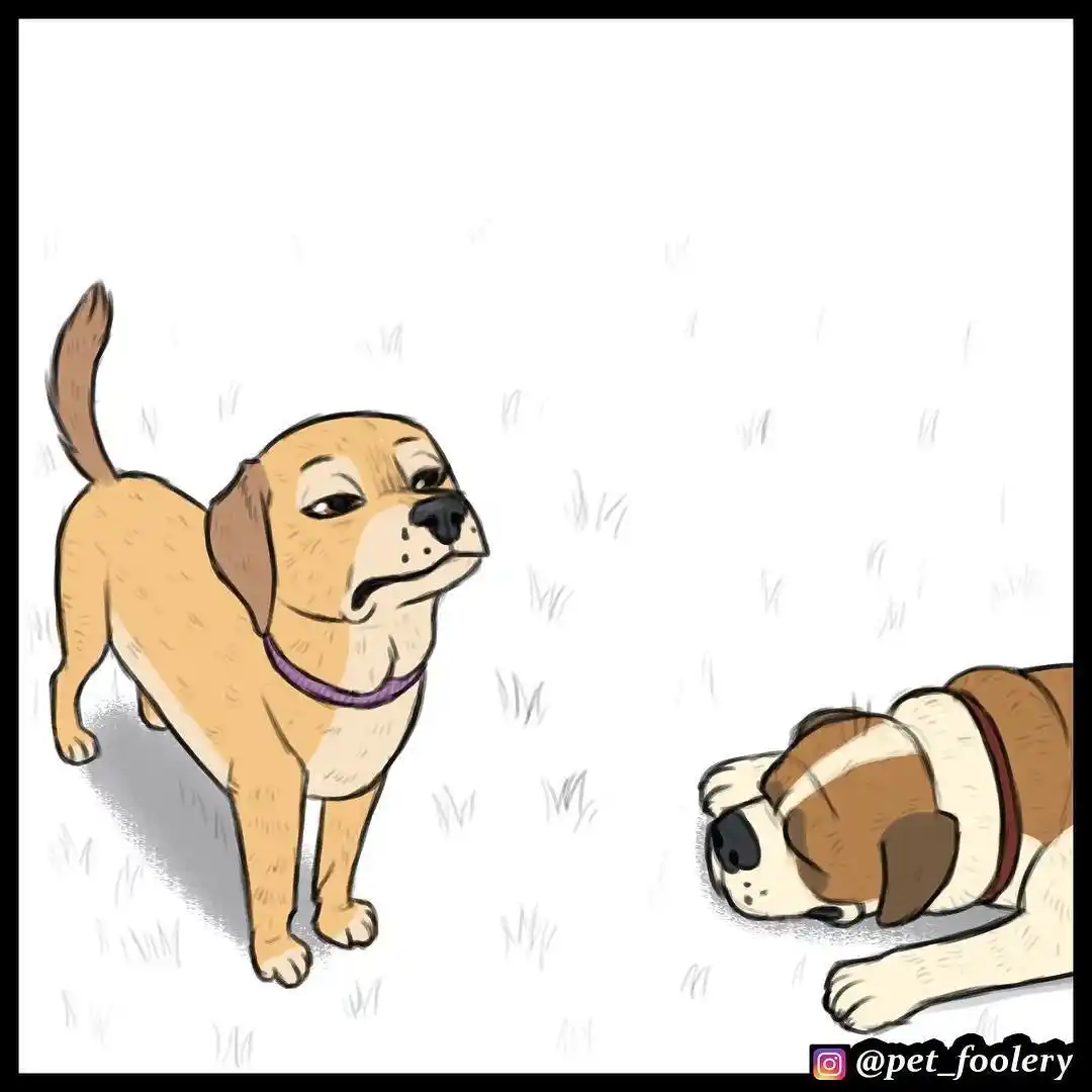 Pixie And Brutus capítulo 15, página 4