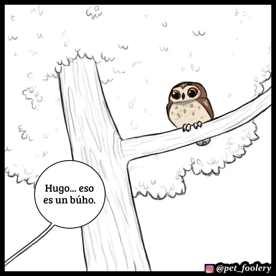 Pixie And Brutus capítulo 15, página 5