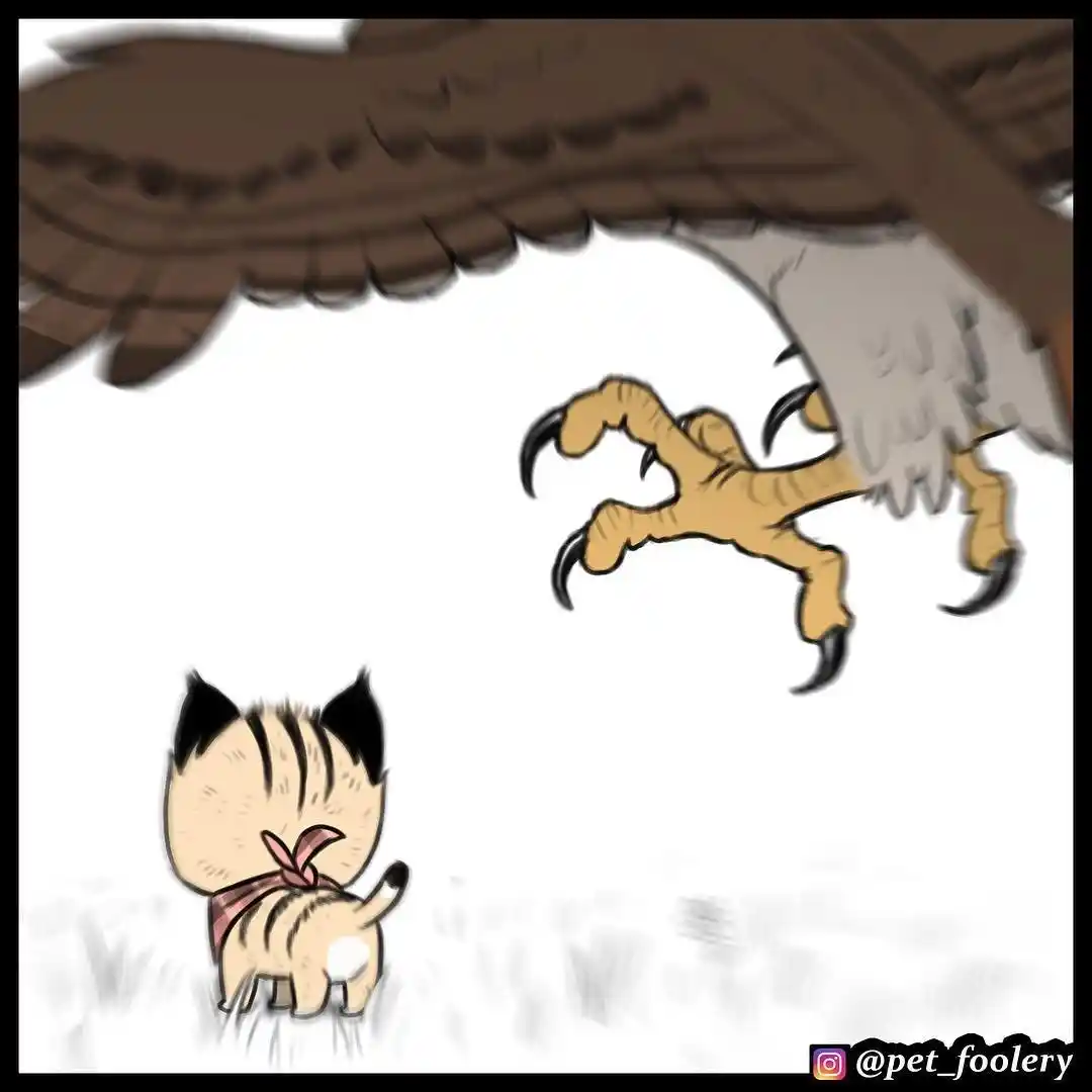 Pixie And Brutus capítulo 16, página 1