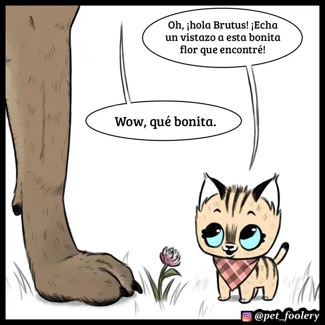 Pixie And Brutus capítulo 16, página 4