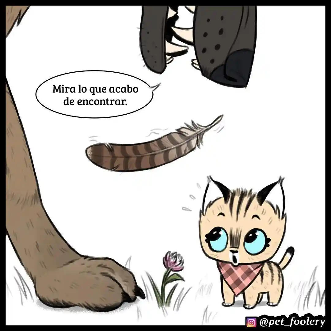 Pixie And Brutus capítulo 16, página 5