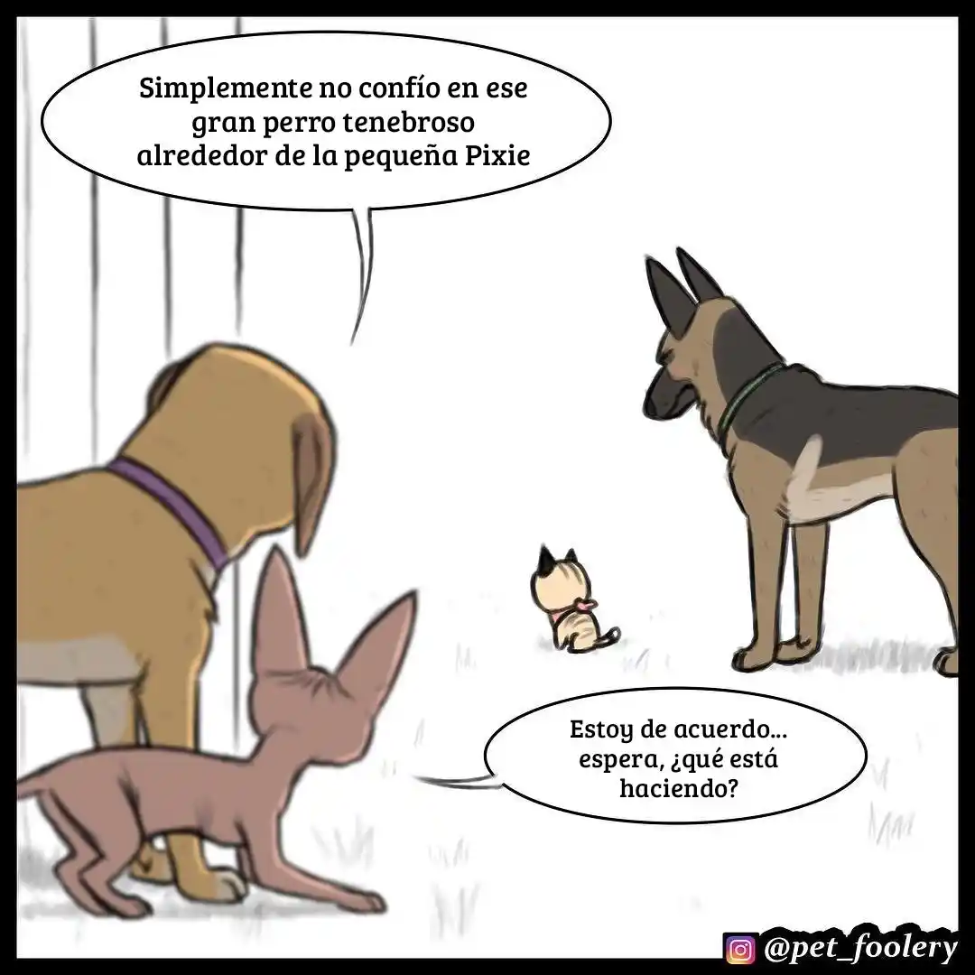 Pixie And Brutus capítulo 17, página 1