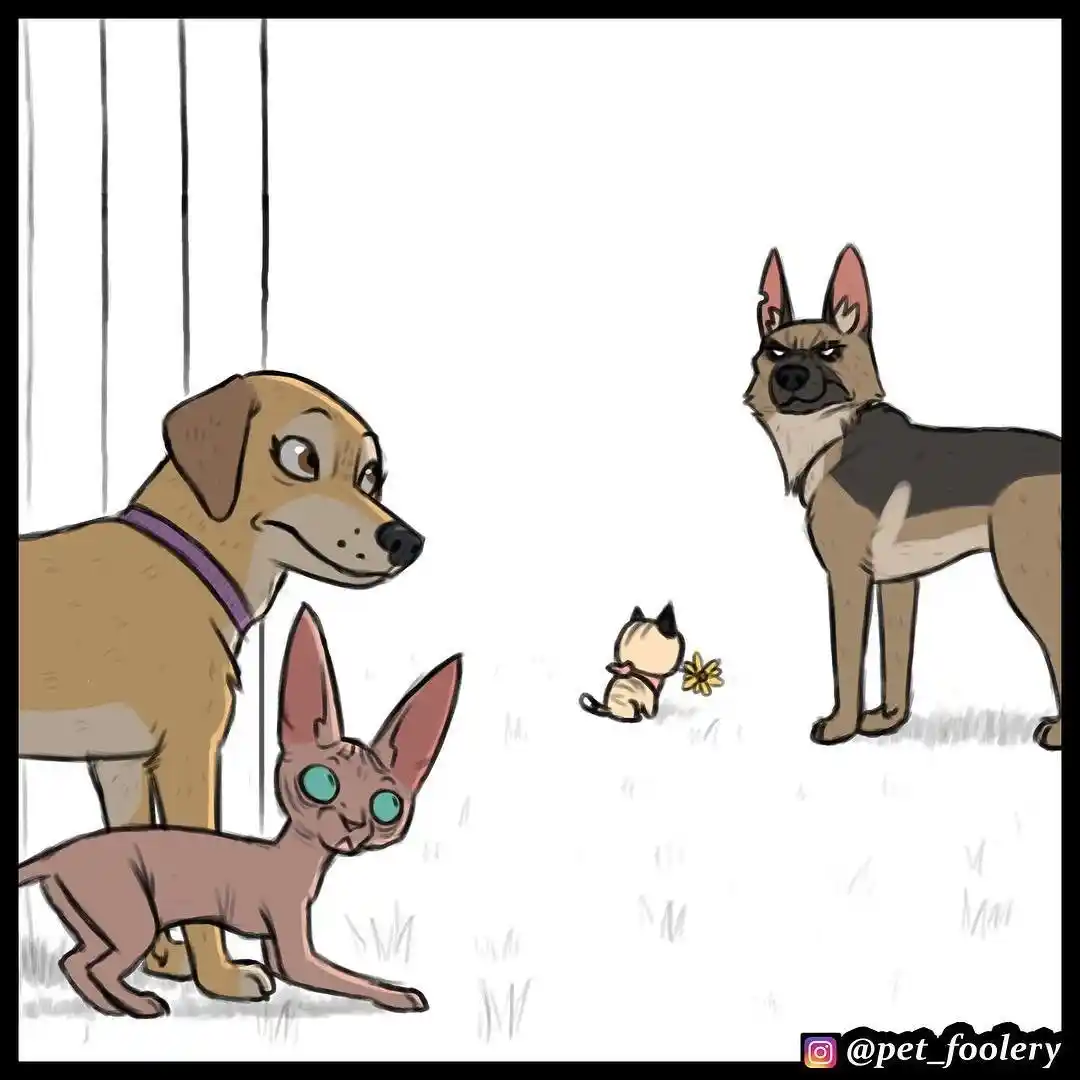 Pixie And Brutus capítulo 17, página 4