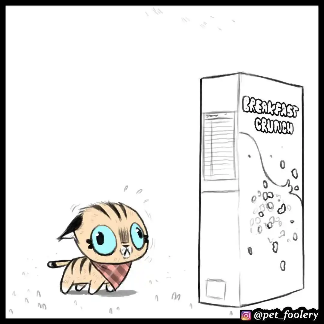 Pixie And Brutus capítulo 19, página 6