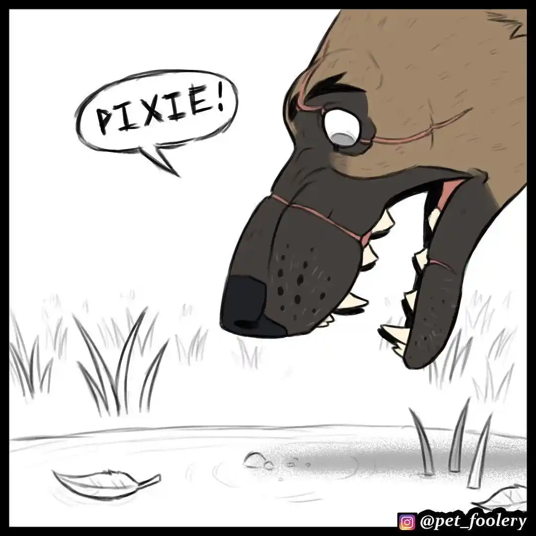 Pixie And Brutus capítulo 20, página 3