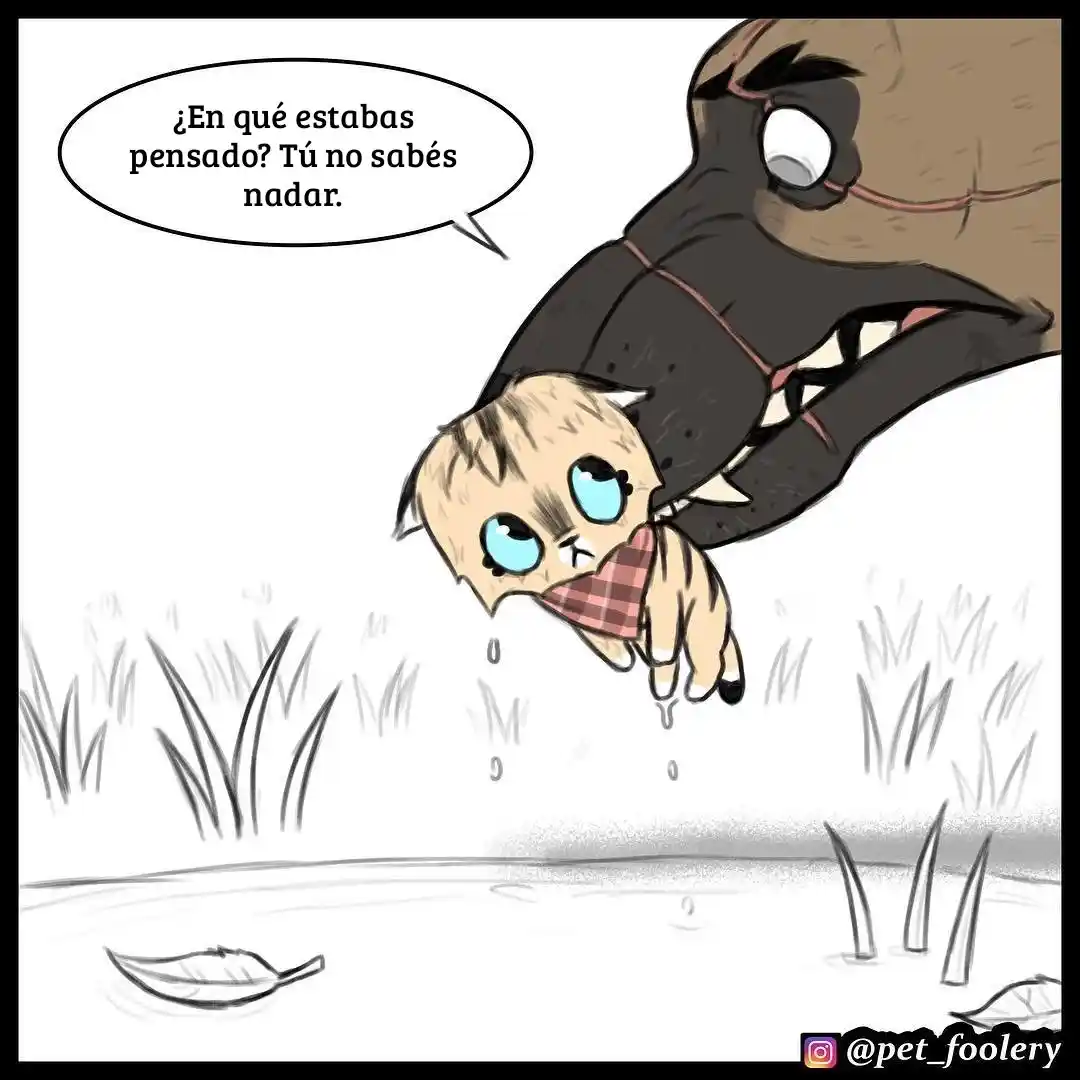 Pixie And Brutus capítulo 20, página 4