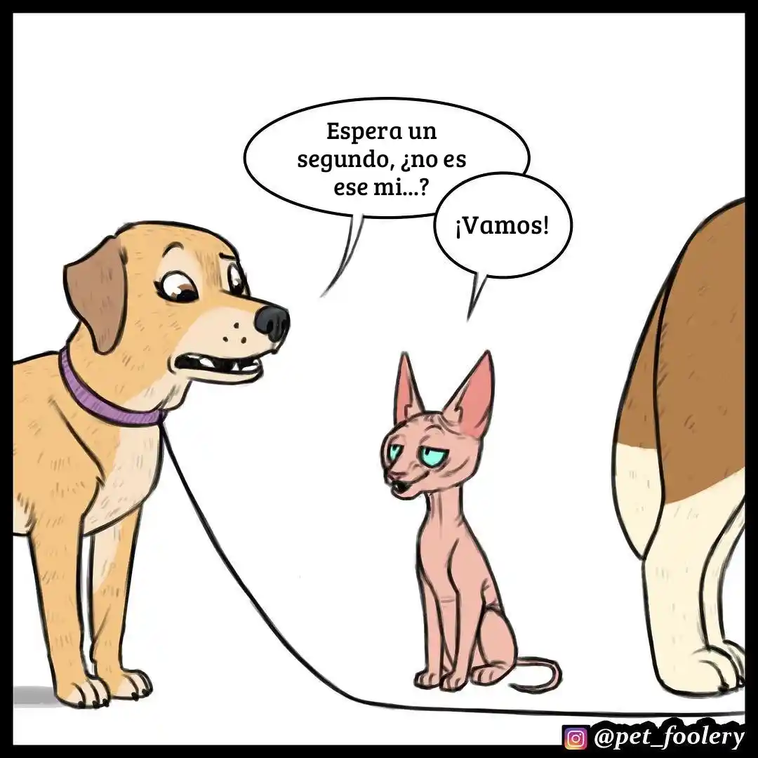 Pixie And Brutus capítulo 23, página 5