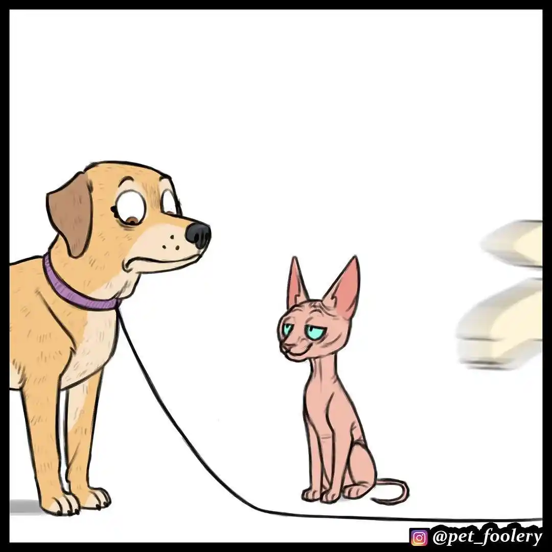 Pixie And Brutus capítulo 23, página 6