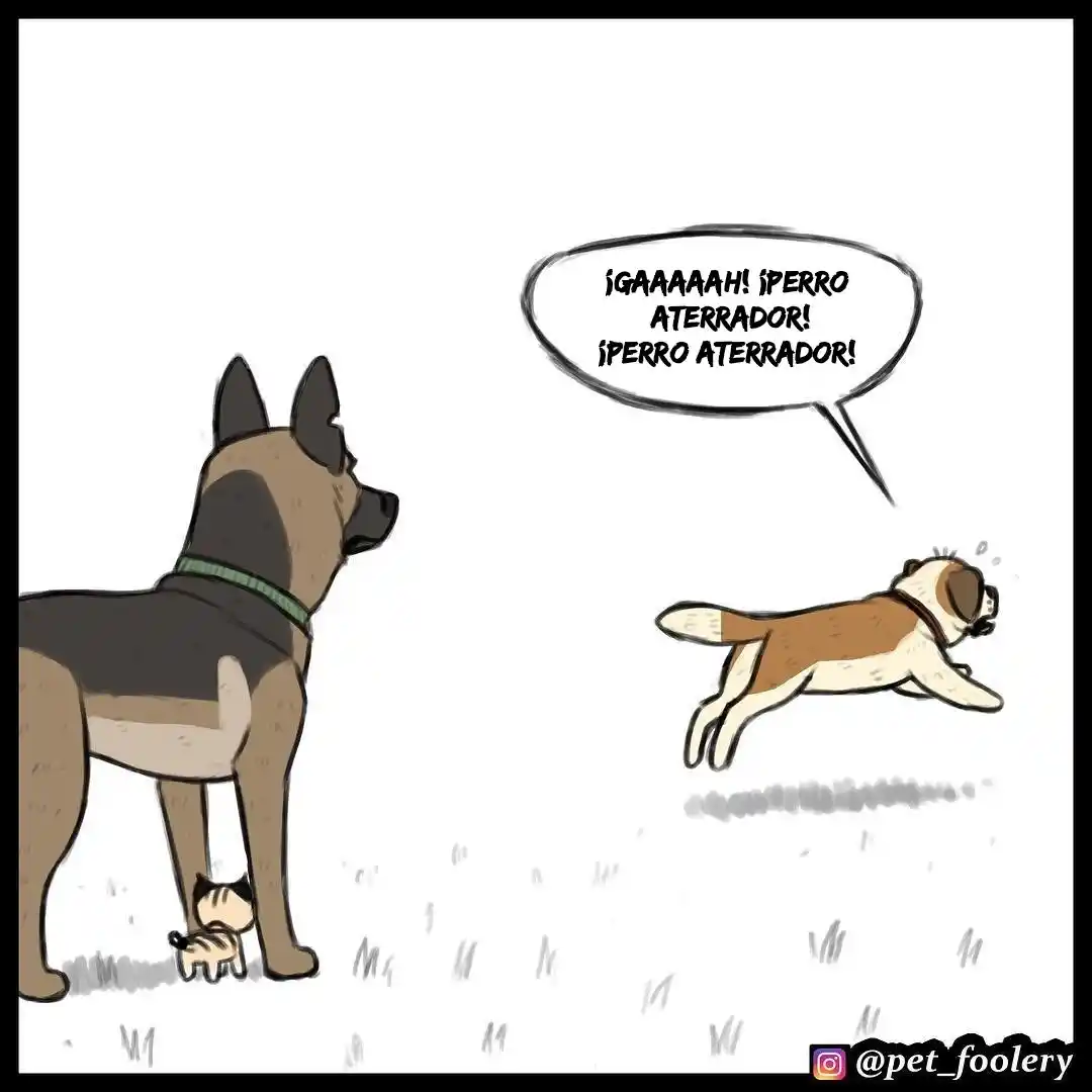 Pixie And Brutus capítulo 25, página 6