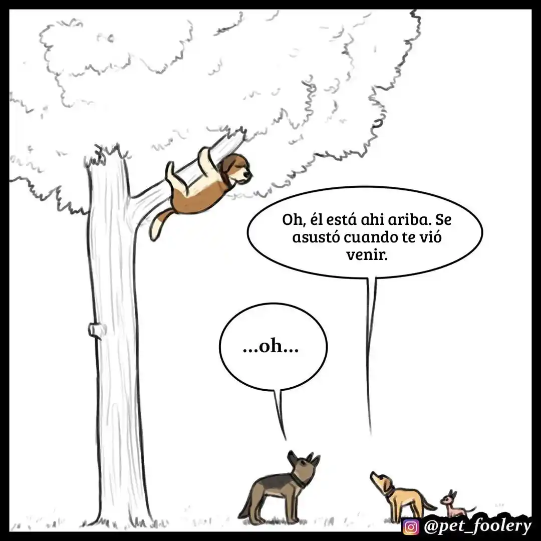 Pixie And Brutus capítulo 28, página 8