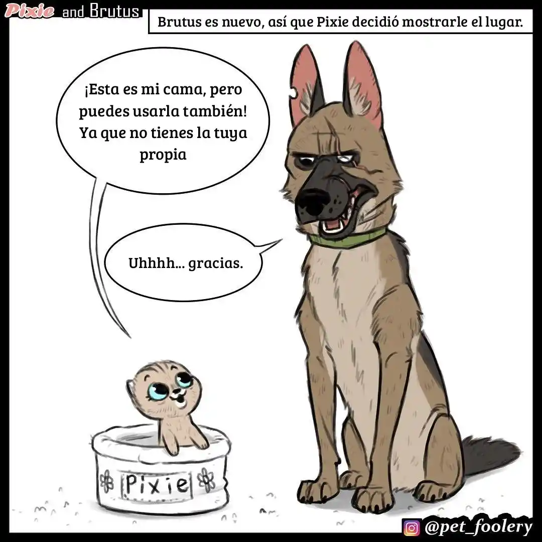Pixie And Brutus capítulo 3, página 1