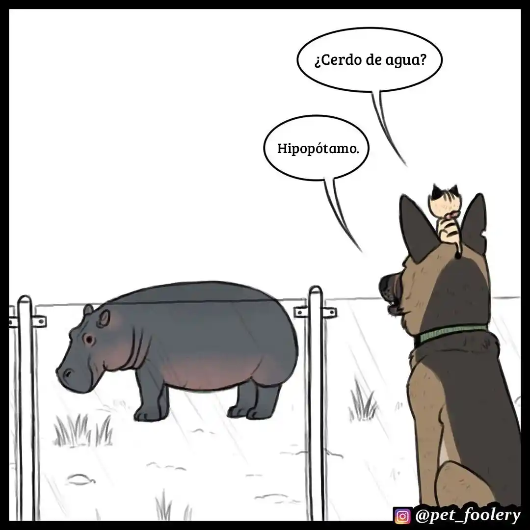 Pixie And Brutus capítulo 31, página 3