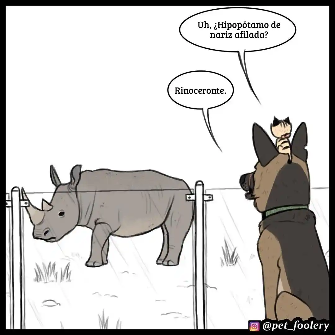 Pixie And Brutus capítulo 31, página 4