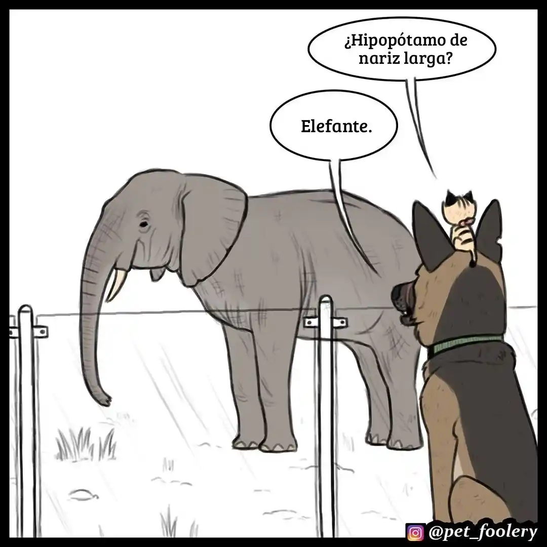 Pixie And Brutus capítulo 31, página 5