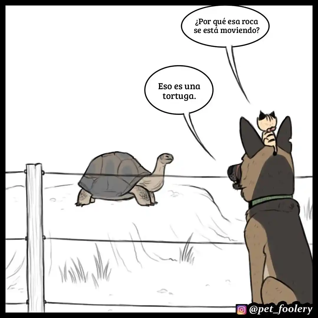 Pixie And Brutus capítulo 31, página 6