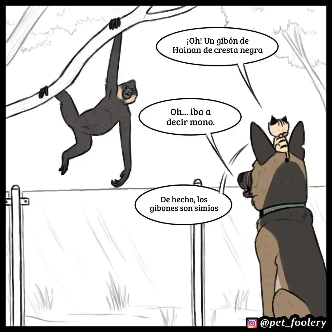 Pixie And Brutus capítulo 31, página 7