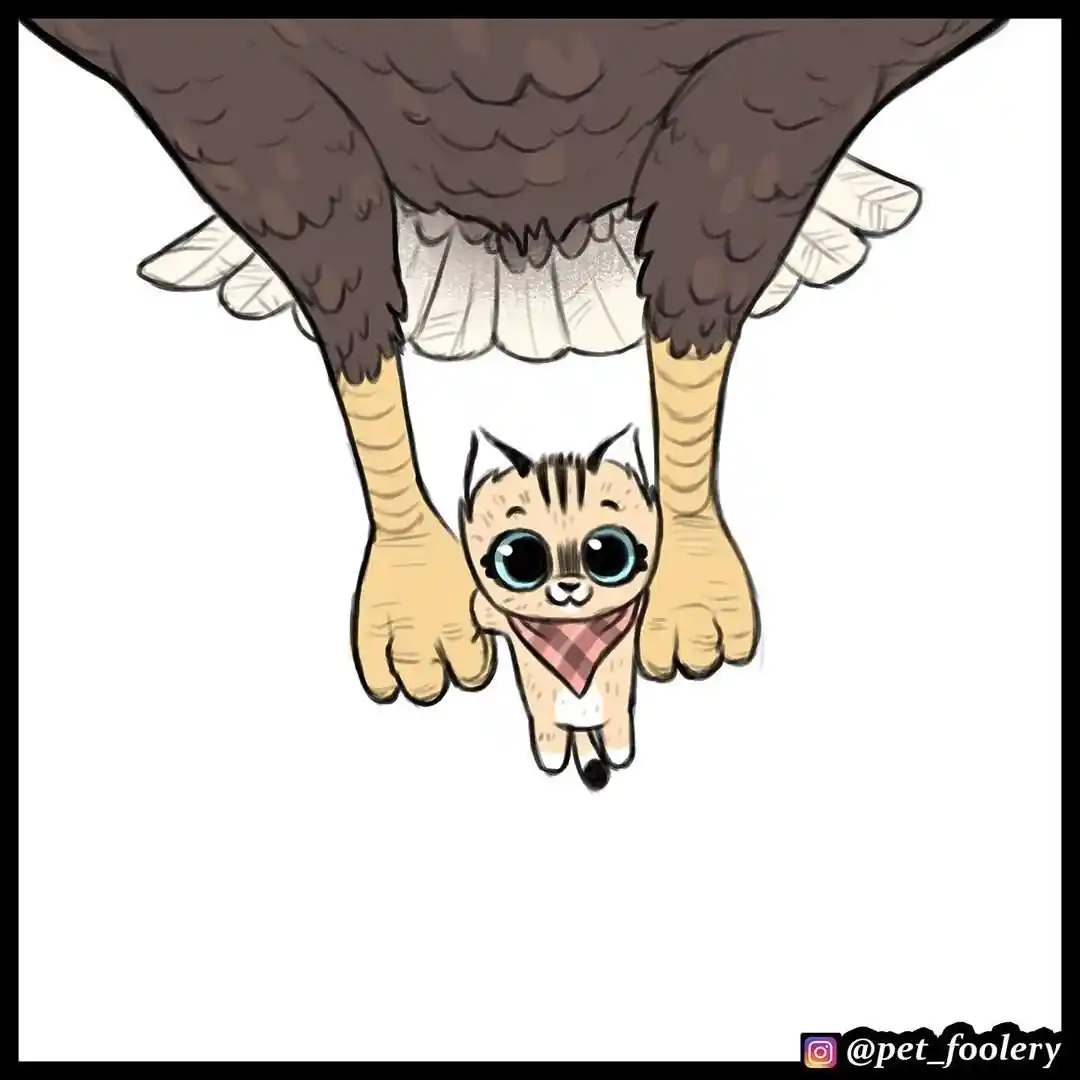 Pixie And Brutus capítulo 33, página 5