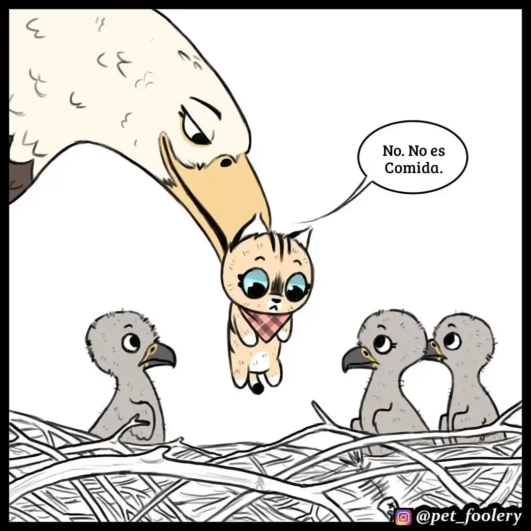 Pixie And Brutus capítulo 34, página 2