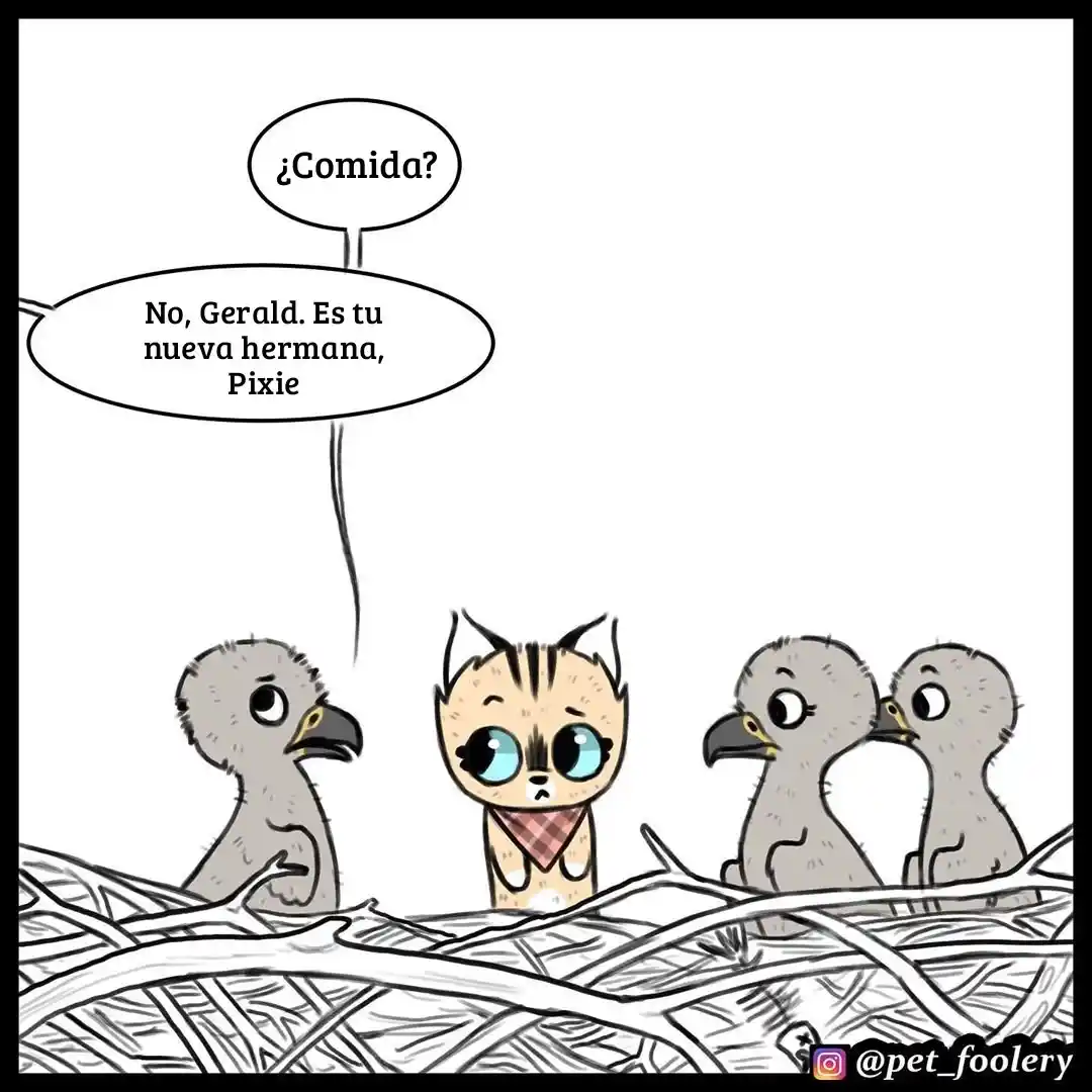 Pixie And Brutus capítulo 34, página 3