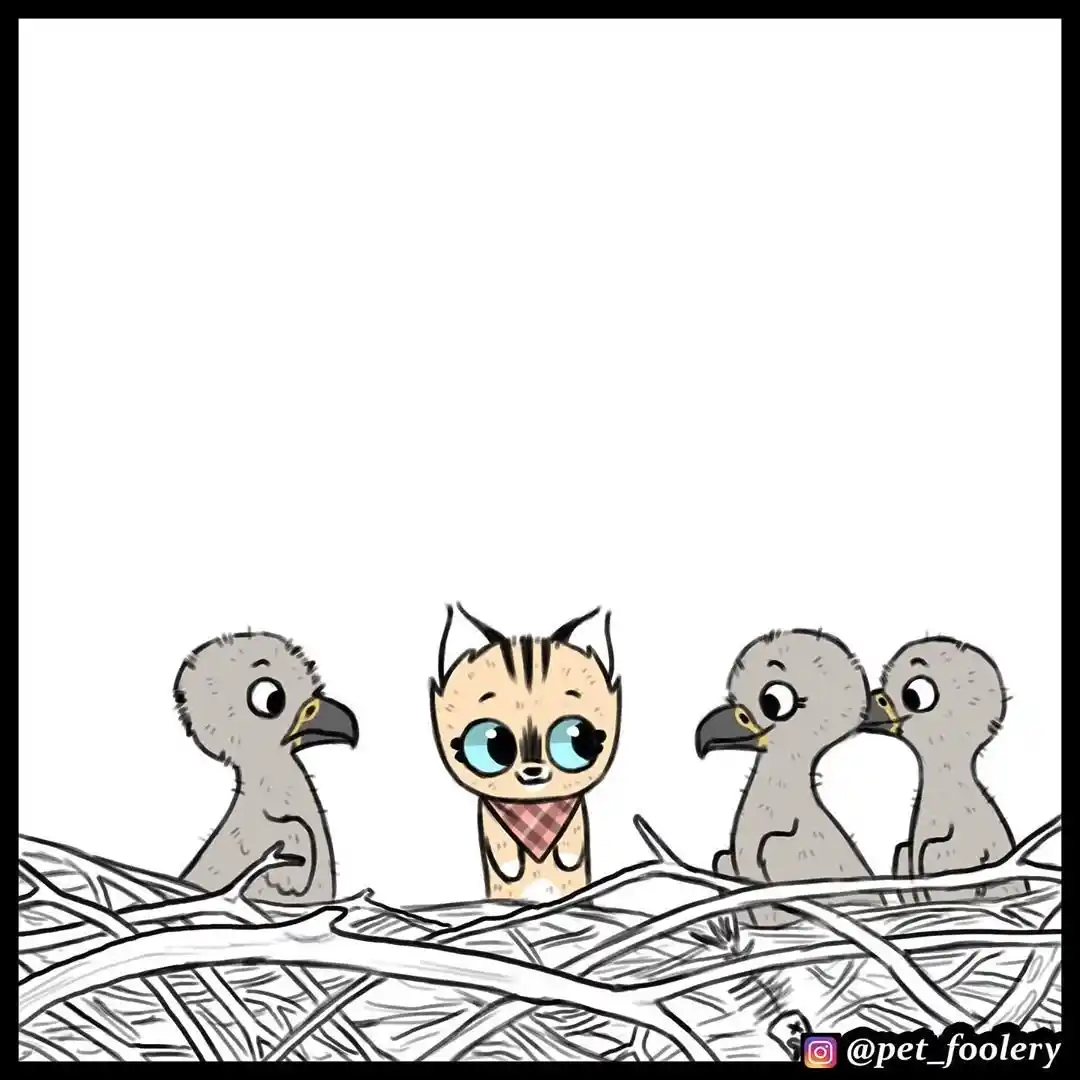 Pixie And Brutus capítulo 34, página 4