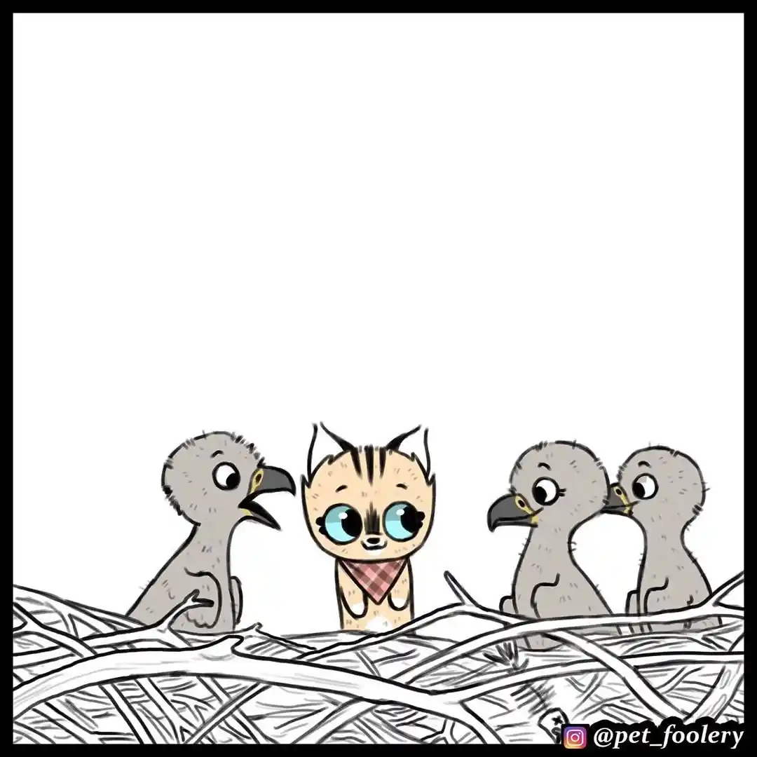 Pixie And Brutus capítulo 34, página 5