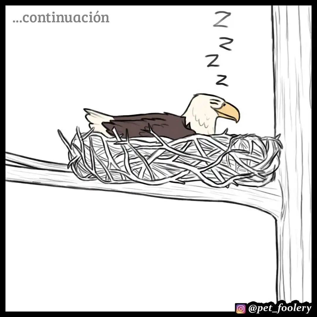 Pixie And Brutus capítulo 35, página 1