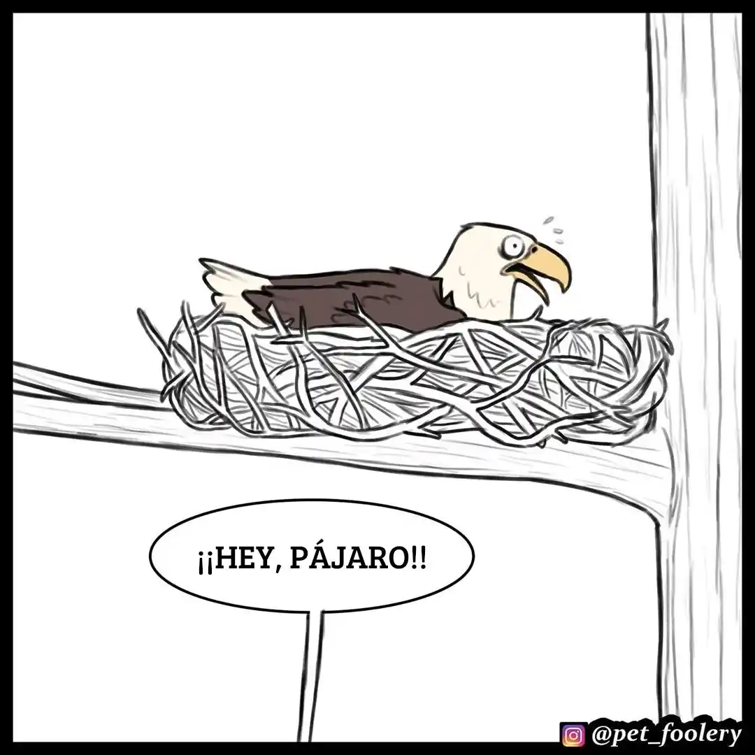 Pixie And Brutus capítulo 35, página 2