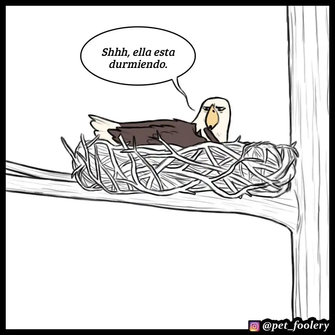 Pixie And Brutus capítulo 35, página 4