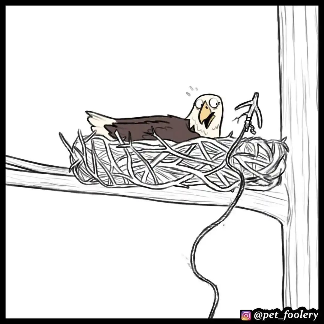 Pixie And Brutus capítulo 35, página 6