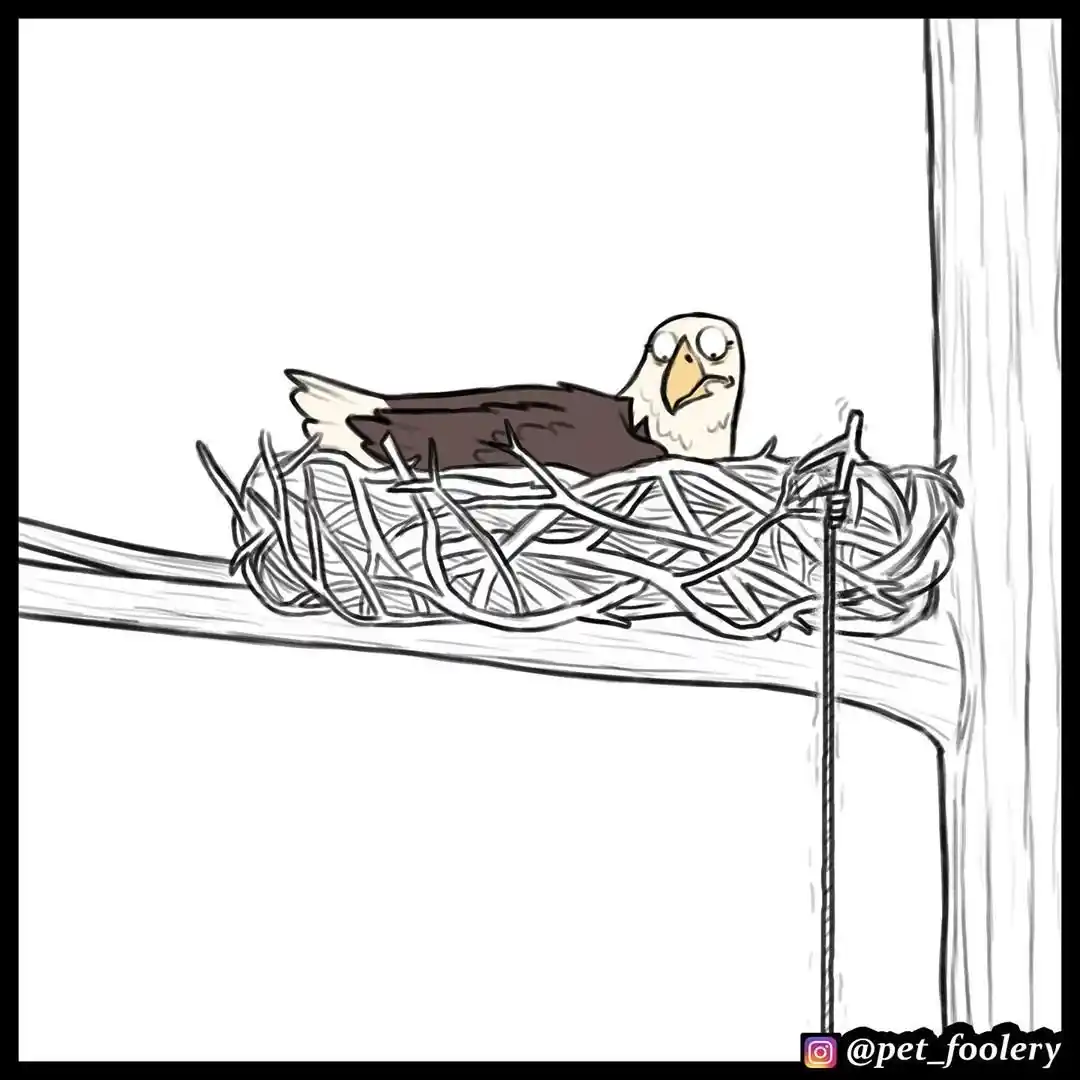 Pixie And Brutus capítulo 35, página 7