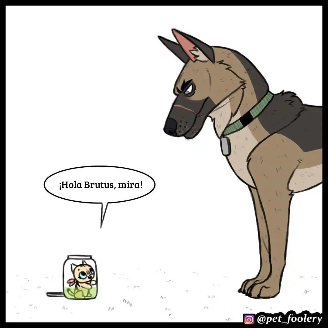 Pixie And Brutus capítulo 36, página 1