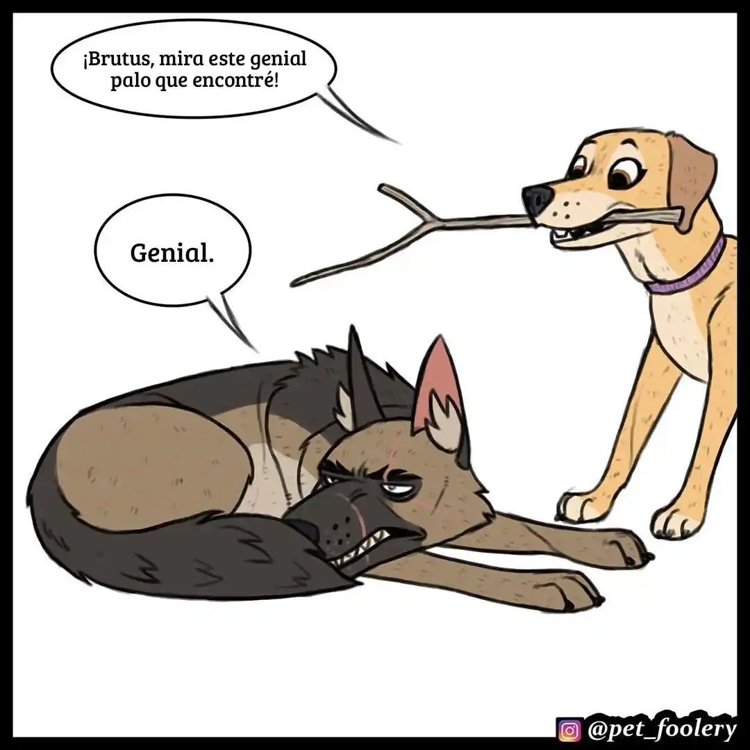 Pixie And Brutus capítulo 38, página 2