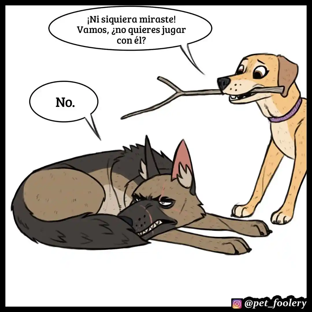 Pixie And Brutus capítulo 38, página 3