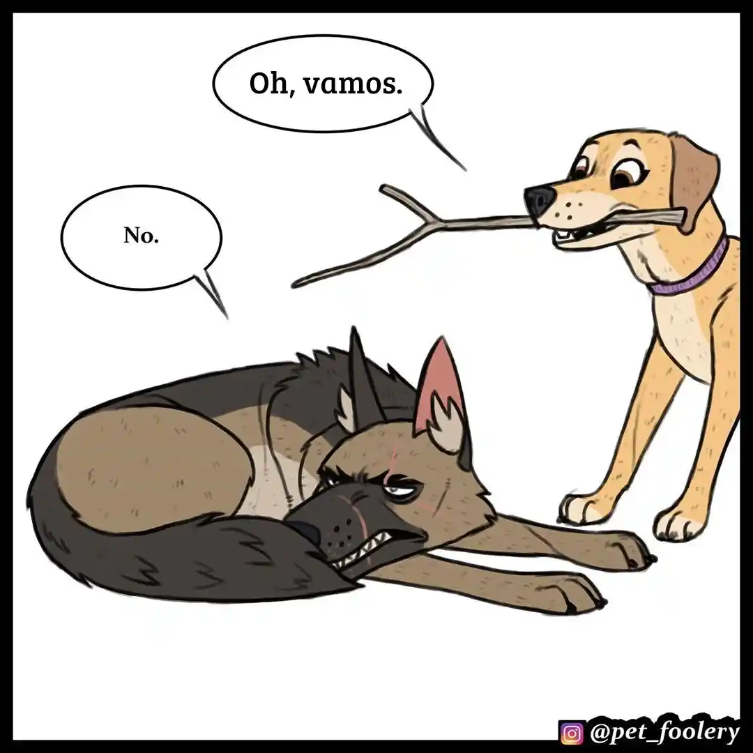 Pixie And Brutus capítulo 38, página 4