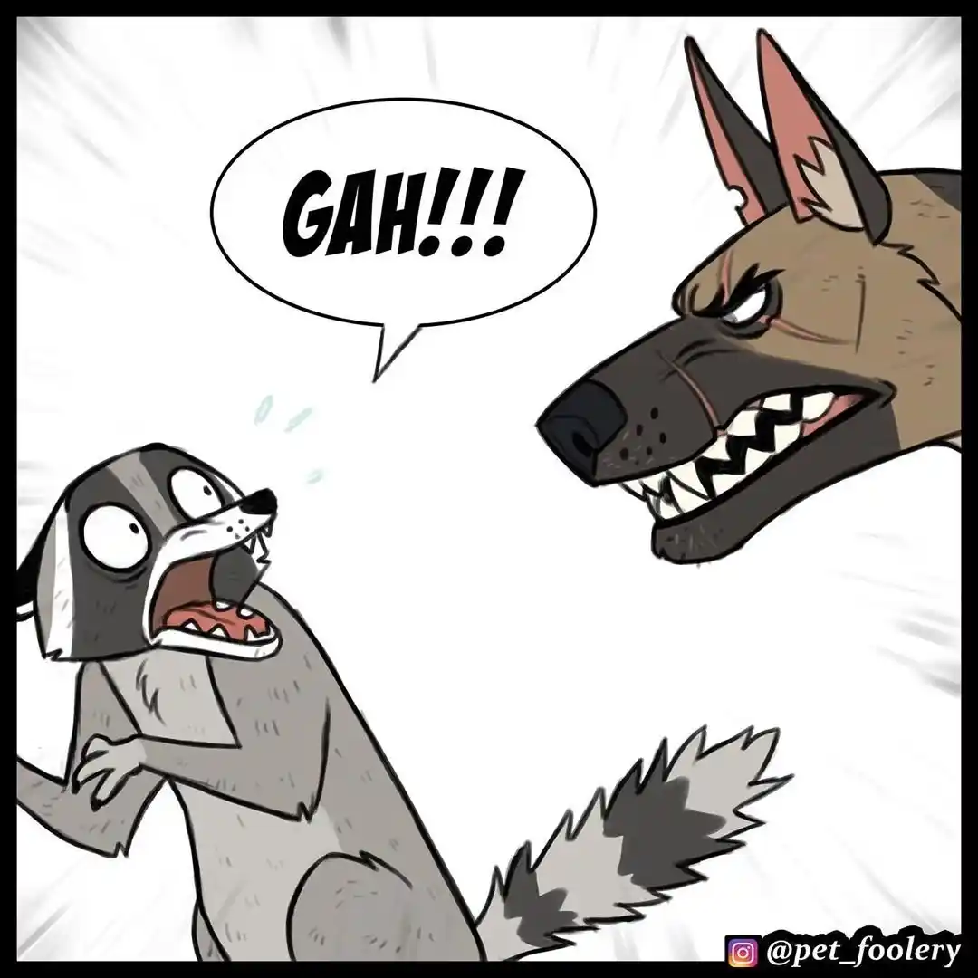 Pixie And Brutus capítulo 43, página 3