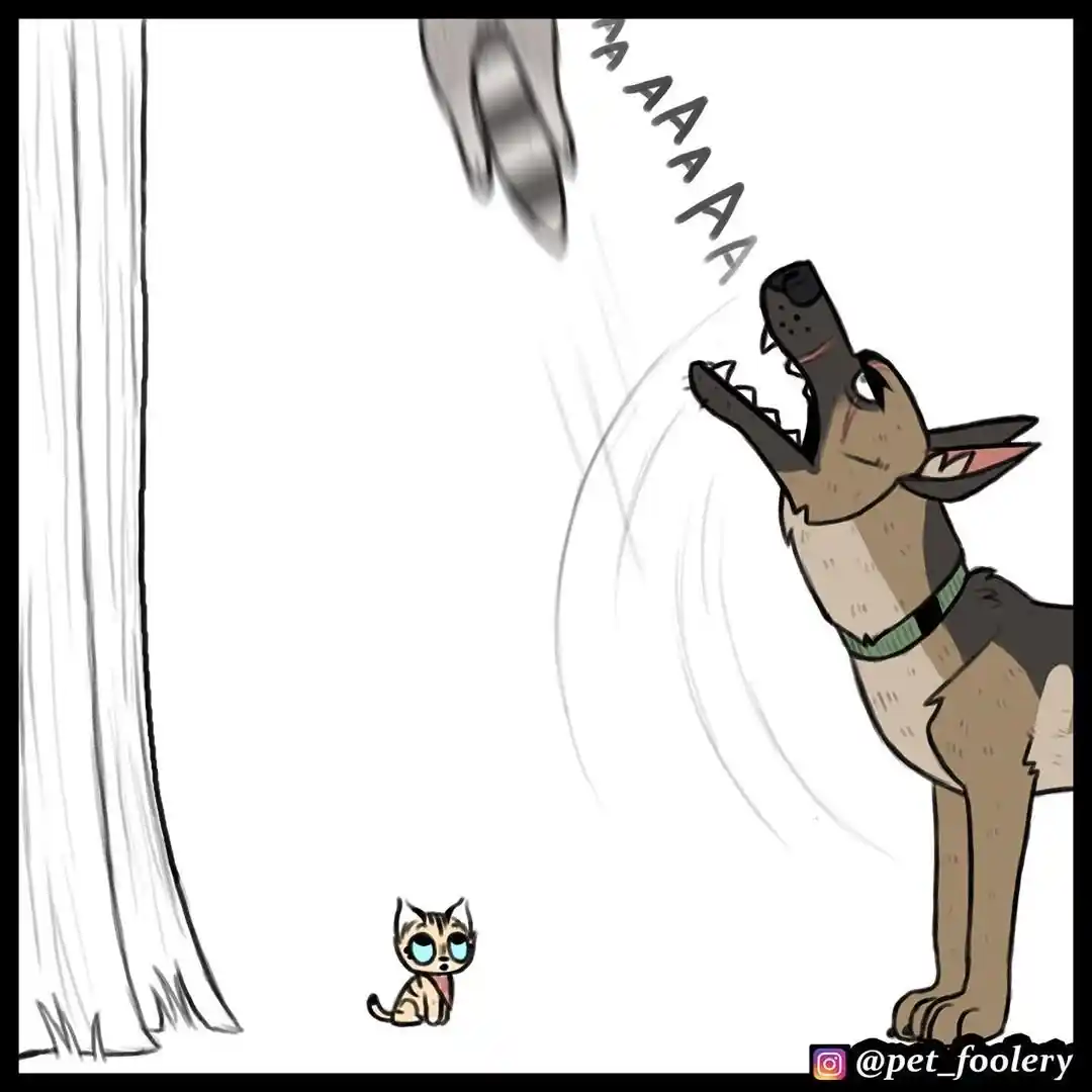 Pixie And Brutus capítulo 44, página 5